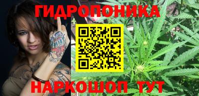 хмурый Пугачёв