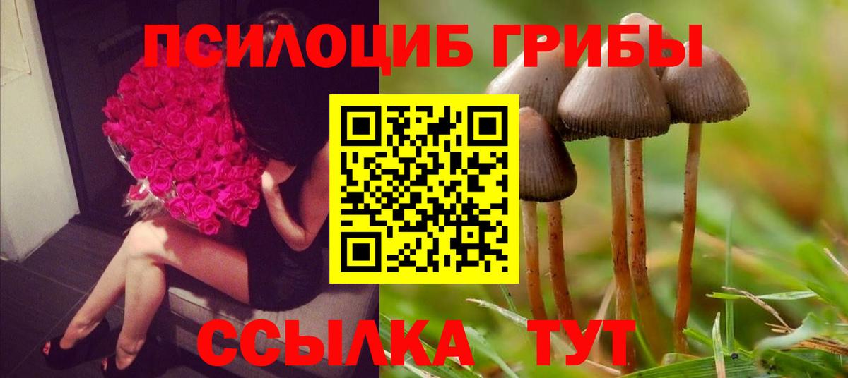 Галлюциногенные грибы MAGIC MUSHROOMS  Вход с VPN  Полысаево  Псилоцибиновые грибы GOLDEN TEACHER 